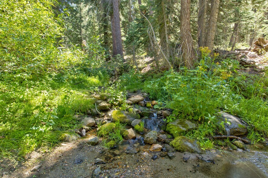 More Photos Of 65745 Big Meadows Road, Kings Canyon National Pk Land For Sale