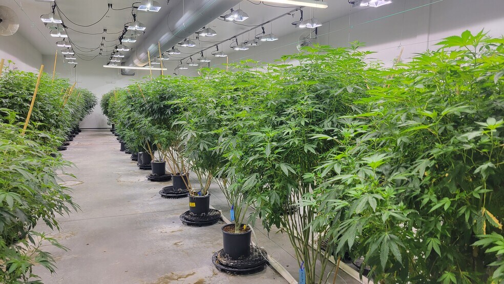 More Photos Of 515 Hammontree Dr, Morenci Industrial For Sale