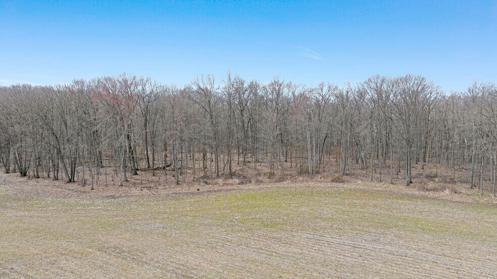 More Photos Of County Road 60 Rd @ County Road 56, Saint Joe Land For Sale