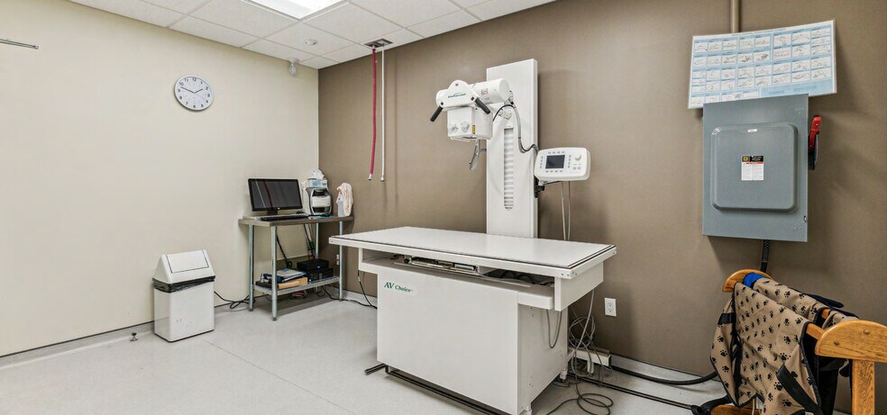 More Photos Of 4 Pine St N, Thorold Veterinarian Kennel For Sale