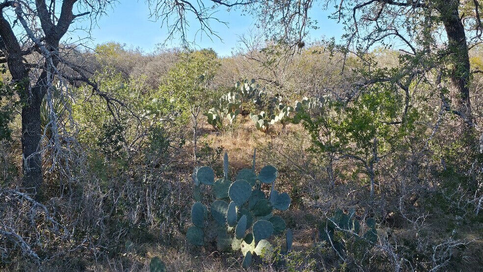 More Photos Of 00 County Road 7563, Devine Land For Sale