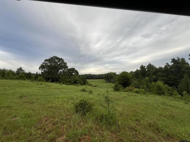 More Photos Of 12251 FM 16 E, Winona Land For Sale