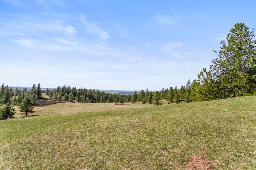 More Photos Of 15809 N Scribner Branch Rd, Spokane Land For Sale
