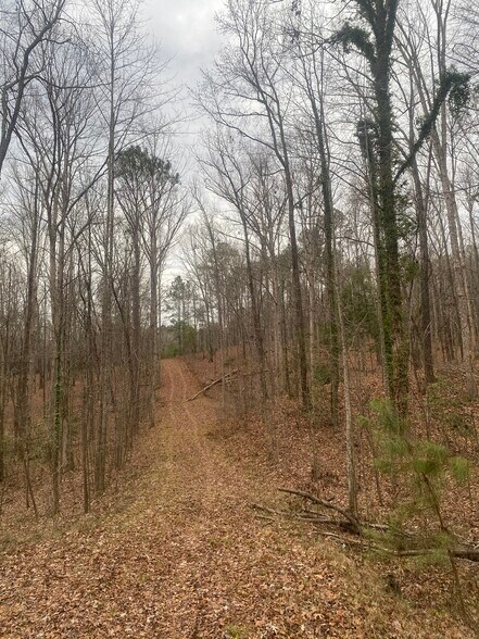 Primary Photo Of 140 Cora Dr, Columbia Land For Sale