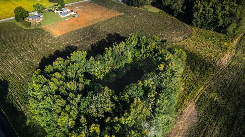 More Photos Of 20Acres Manley Rd, Hazel Green Land For Sale