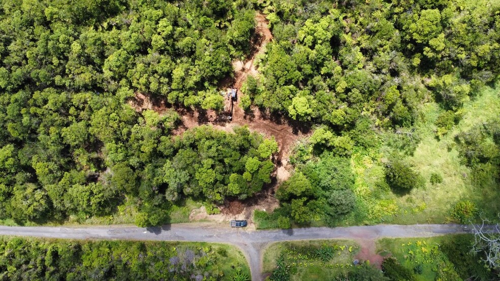 Primary Photo Of Mauna Loa Dr, Volcano Land For Sale