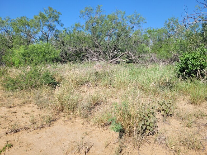 More Photos Of , Laredo Land For Sale