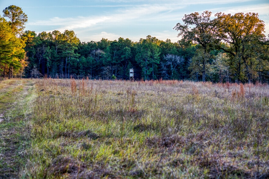 More Photos Of 11676 Highway 30, Anderson Land For Sale