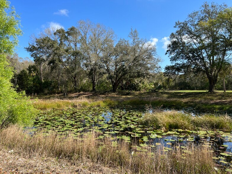 More Photos Of 156 Whitaker Rd, Lutz Medical For Lease
