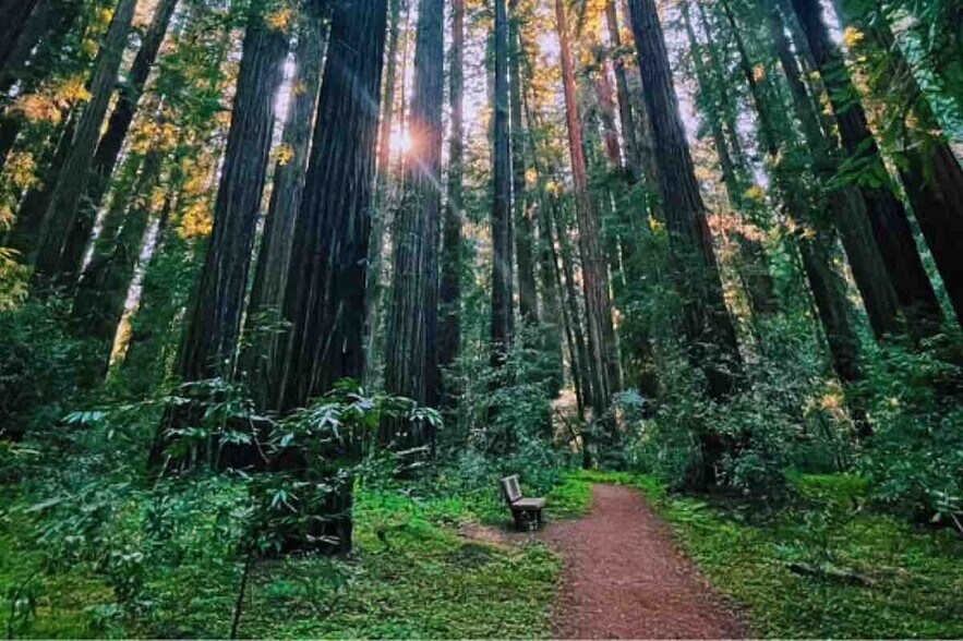 More Photos Of 18501 Van Zandt Resort Rd, Philo Lodge Meeting Hall For Sale