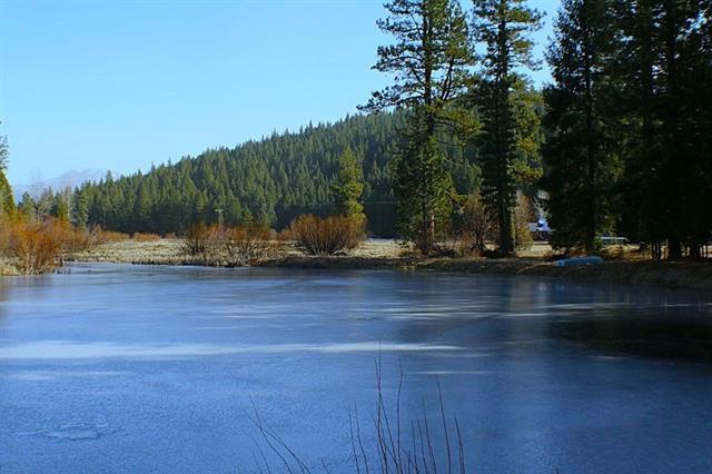 More Photos Of 1000 Golden Feather Ranch Rd, Blairsden Graeagle Land For Sale