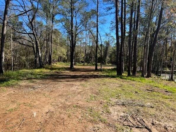 More Photos Of 169 Hutchinson Rd, Jacksonville Land For Sale