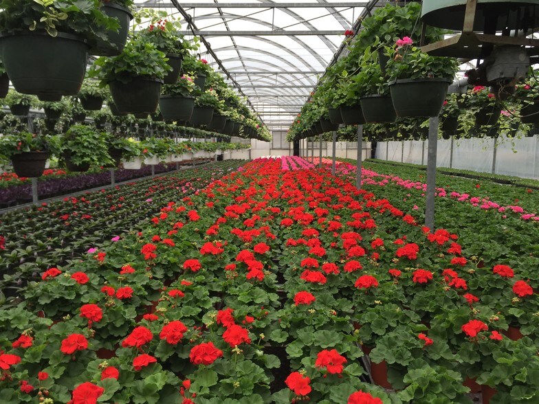 More Photos Of 609-621 E Maple Ave, Newark Light Manufacturing For Lease