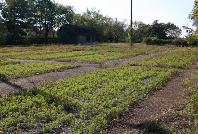 More Photos Of 475 River Rock Blvd, Murfreesboro Land For Sale