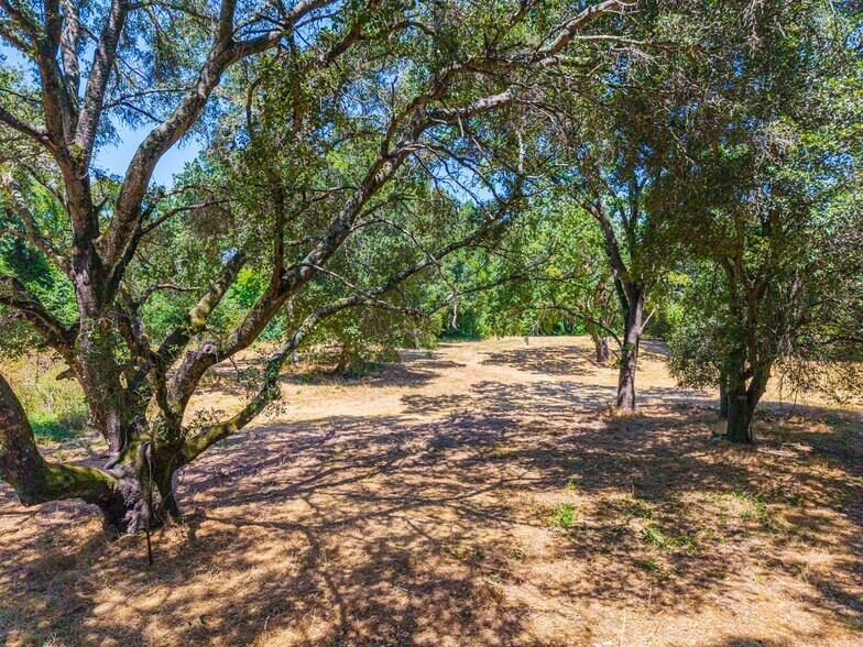 More Photos Of 1866 Silverado Trl, Napa Land For Sale