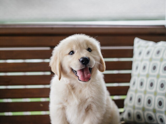 More Photos Of 1401 S State St, Chicago Apartments For Lease