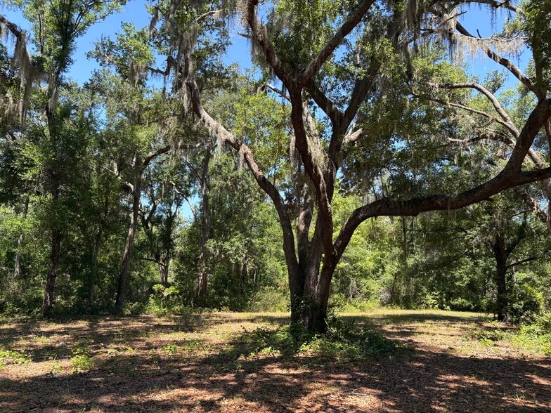 More Photos Of 0 Greenbriar Rd, Lakeland Land For Sale