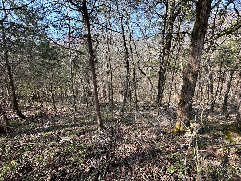 More Photos Of 7312 Highway 60, Georgetown Land For Sale