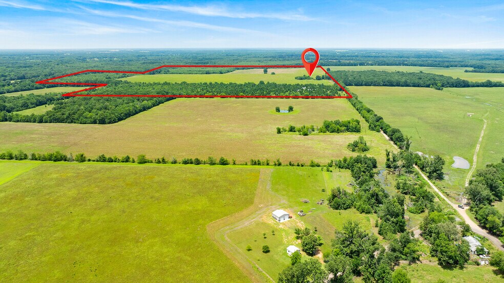 More Photos Of 449 County Road 1357, Clarksville Land For Sale