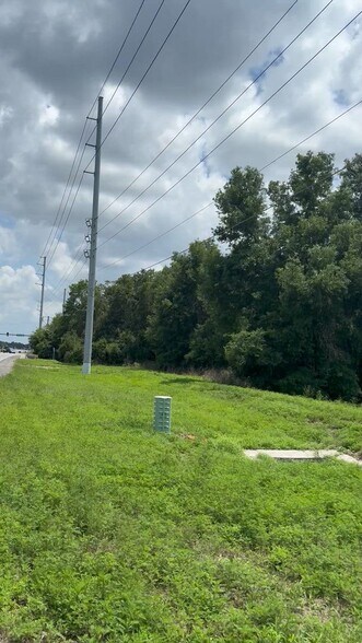 Primary Photo Of 4909 Paul Buchman Hwy, Plant City Land For Lease