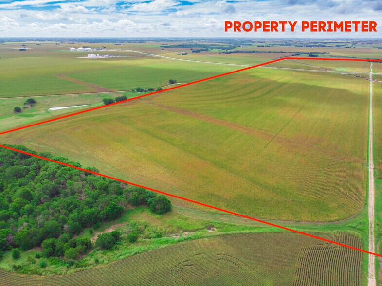More Photos Of 703 CR 368, Taylor Land For Sale