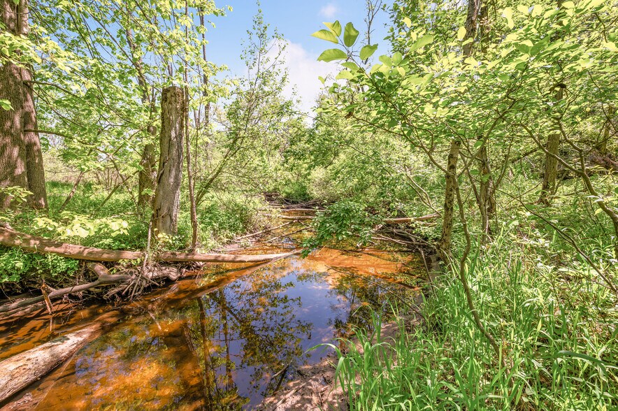More Photos Of V/L 220th Ave, Big Rapids Land For Sale