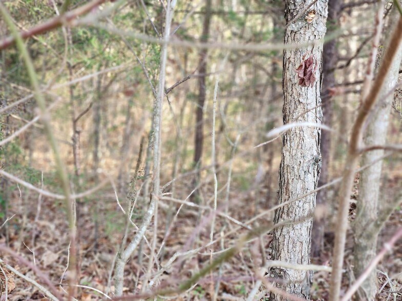 More Photos Of 1310 Mayflower Rd, Sale Creek Land For Sale