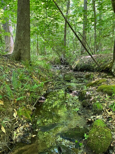 More Photos Of 00 00 Youngstown Rd, Goochland Land For Sale