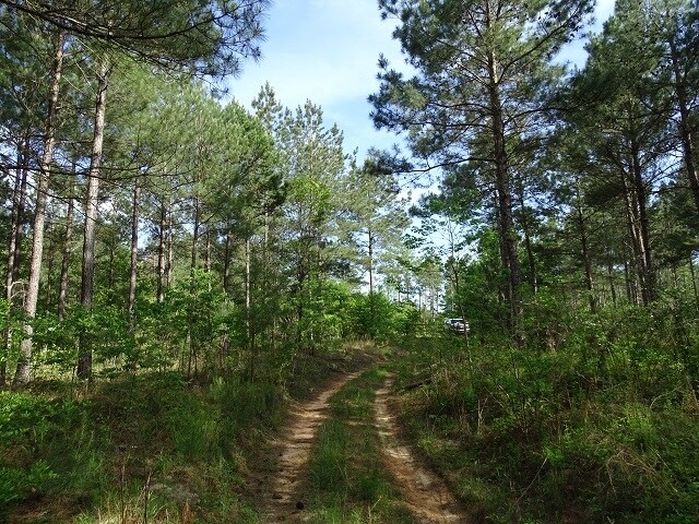 More Photos Of Courtney Rd, Lumberton Land For Sale