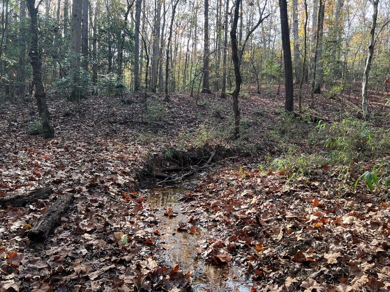 More Photos Of 0 Dickson Dr, Danielsville Land For Sale