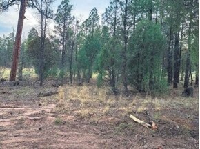 More Photos Of 4900 Arizona 260, Lakeside Land For Sale