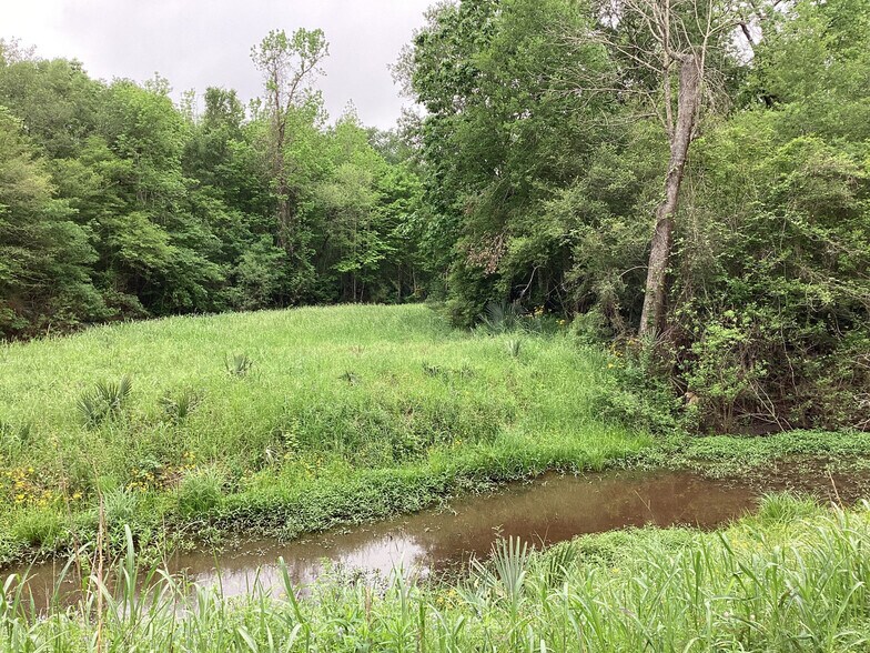 More Photos Of 0 County Road 4876, Dayton Land For Sale