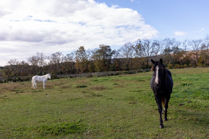 More Photos Of 4 Whitman Rd, Stephentown Sports And Entertainment For Sale