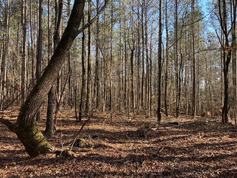 More Photos Of 0 S. Hwy 81, Covington Land For Sale