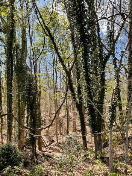 More Photos Of 38.66 Acres - Neck Road, Aquasco Land For Sale
