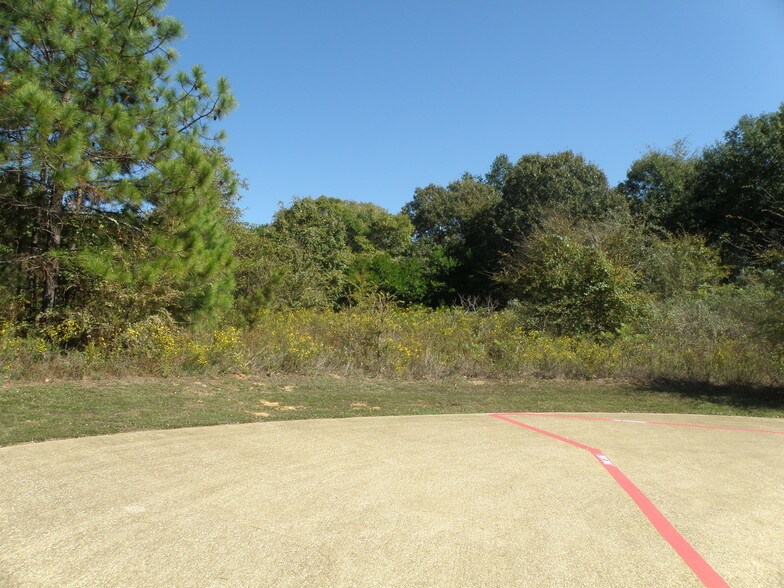 More Photos Of 3315 S Loop 256, Palestine Land For Sale