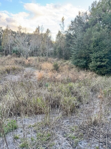 More Photos Of 2501 Oveido Marketplace Blvd, Oviedo Land For Sale
