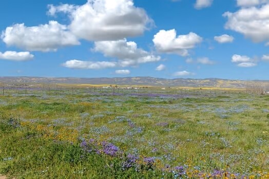 More Photos Of 12900 Soda Lake Rd, Santa Margarita Hotel For Sale