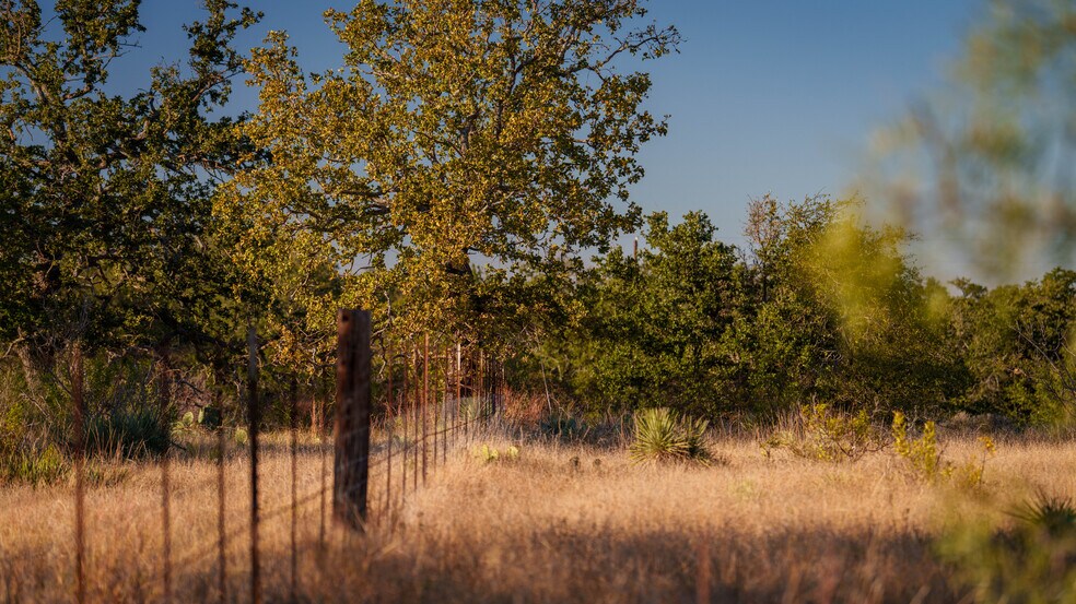 More Photos Of 7499 US 87 hwy, Mason Land For Sale