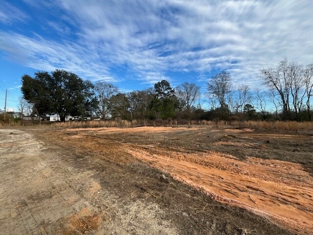 More Photos Of 52000 Block US-31 Hwy, Perdido Land For Sale