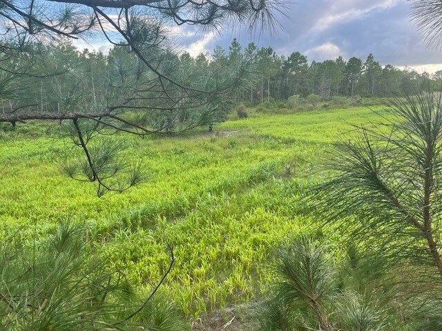 More Photos Of Redlands Dr, Deland Land For Sale