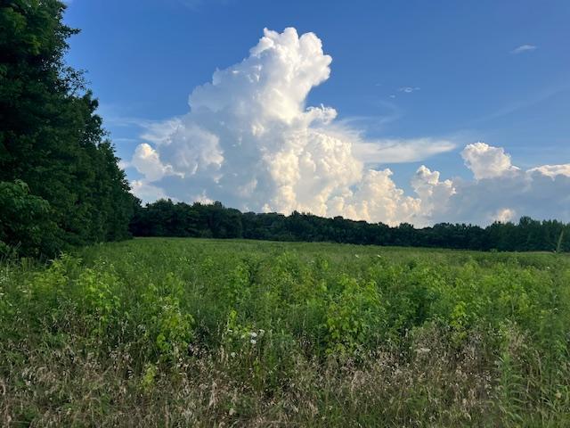 More Photos Of Harrison Street US Hwy 69, Batesville Land For Sale