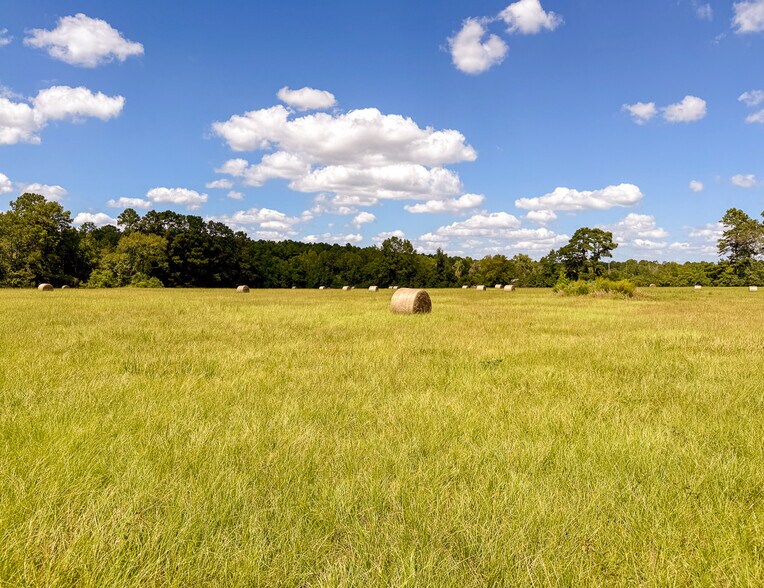 More Photos Of 567 Tamie Lowe rd, Moscow Land For Sale