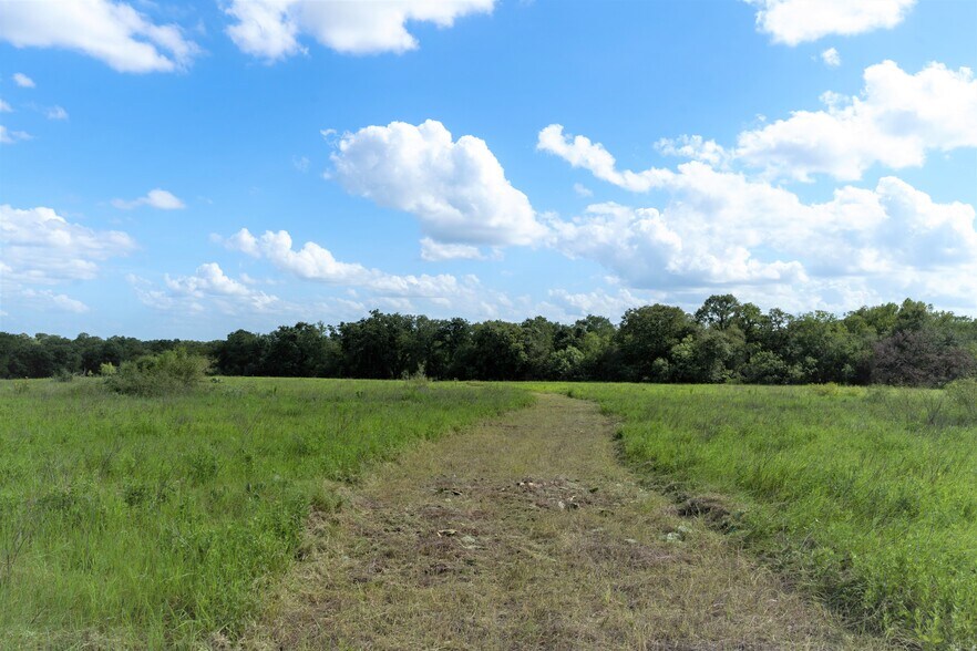 More Photos Of S Hwy 183, Lockhart Land For Sale
