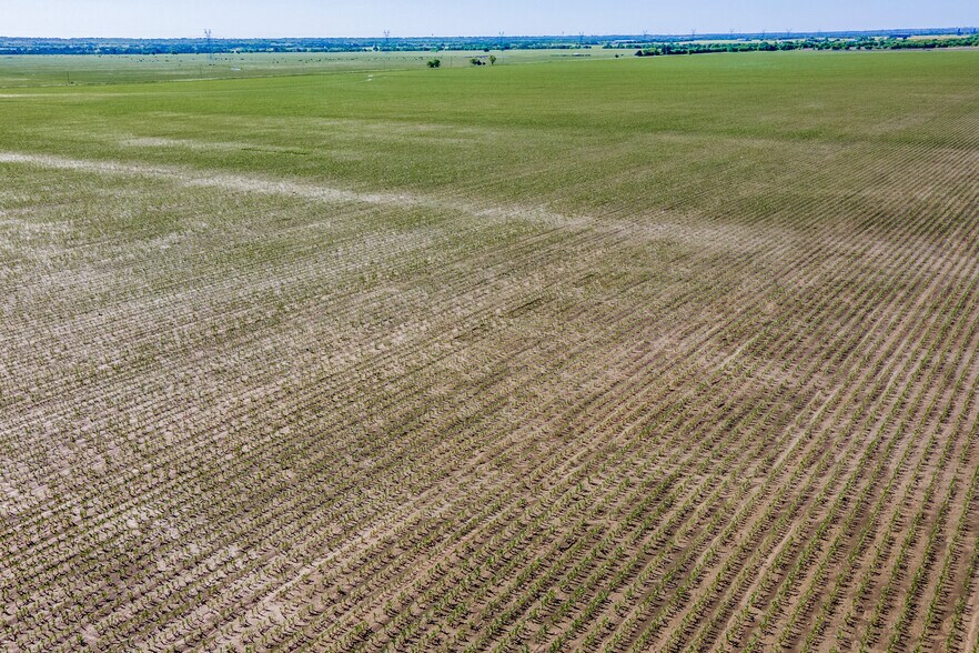 More Photos Of TBD Wall Street Rd, Gunter Land For Sale