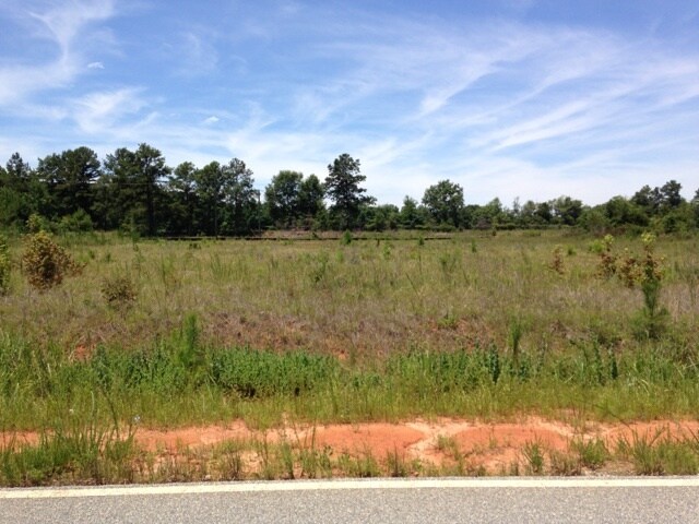 More Photos Of Higway 247, Byron Land For Sale