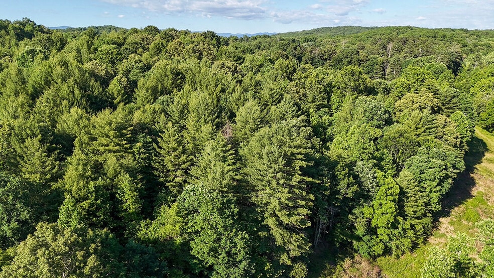 More Photos Of 11061 NC-294 Hwy, Murphy Land For Sale