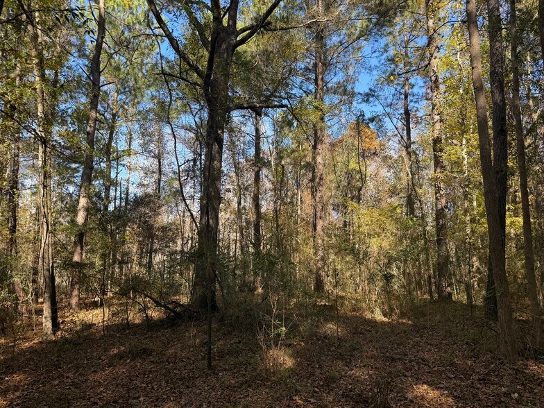 More Photos Of 793 Puncheon Creek Dr, Andrews Land For Sale