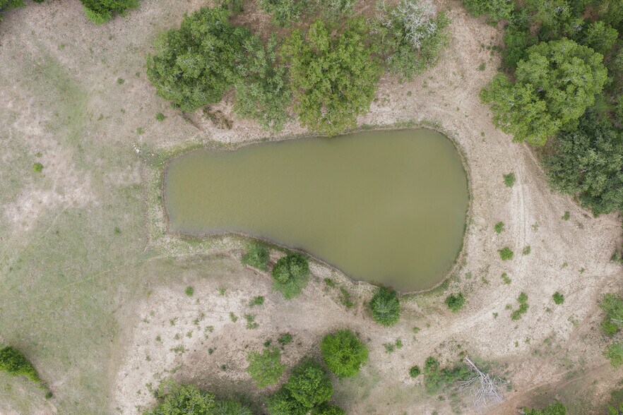 More Photos Of 9765 State Park Rd, Lockhart Land For Sale