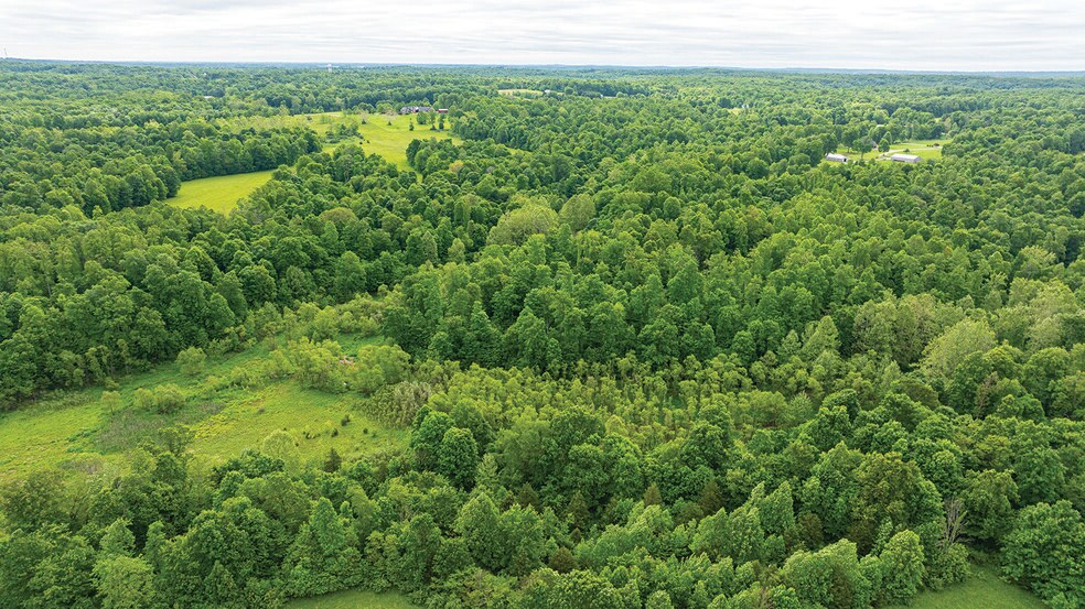 More Photos Of 2475 W County Road 1050 S, Cloverdale Land For Sale